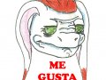 Me gusta0001 kopie.jpg
